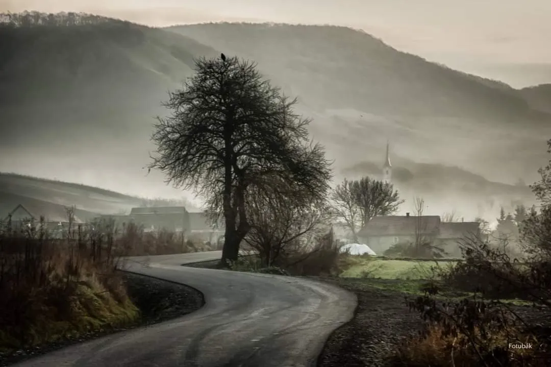 Misty village road at dawn