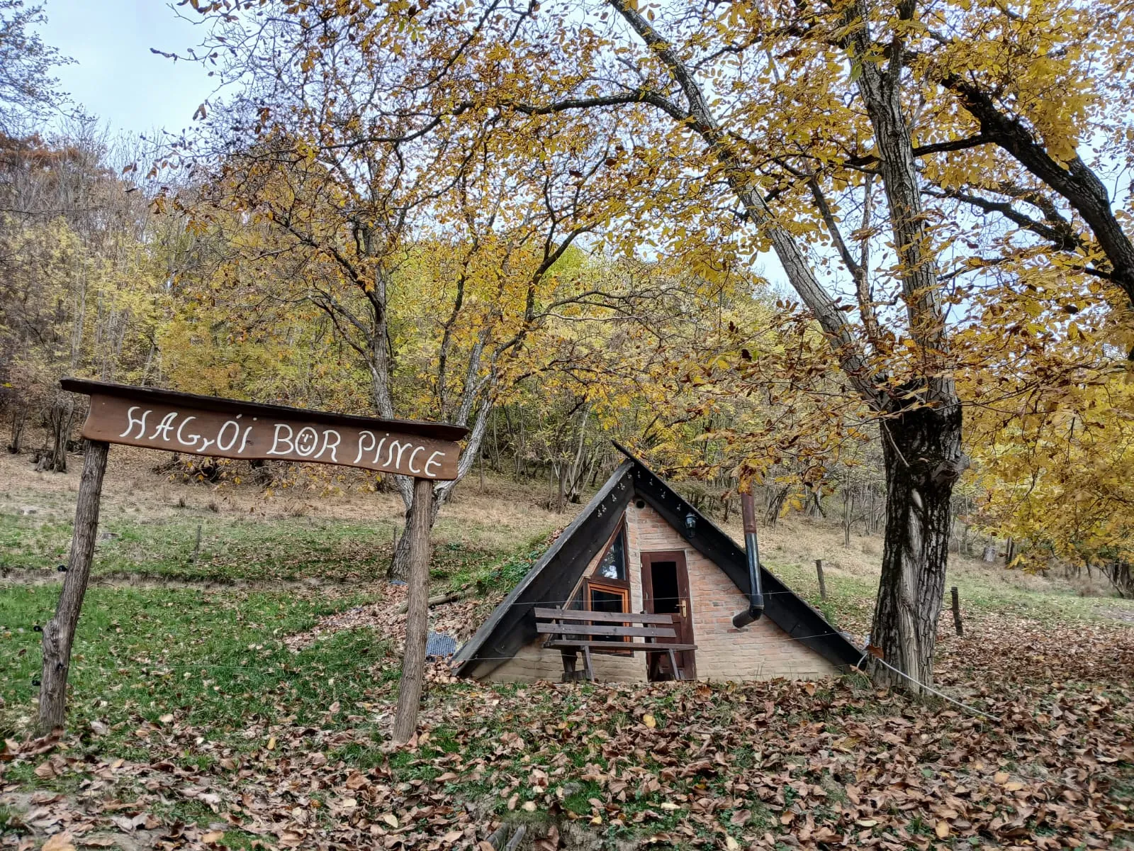 Wine cellar in autumn