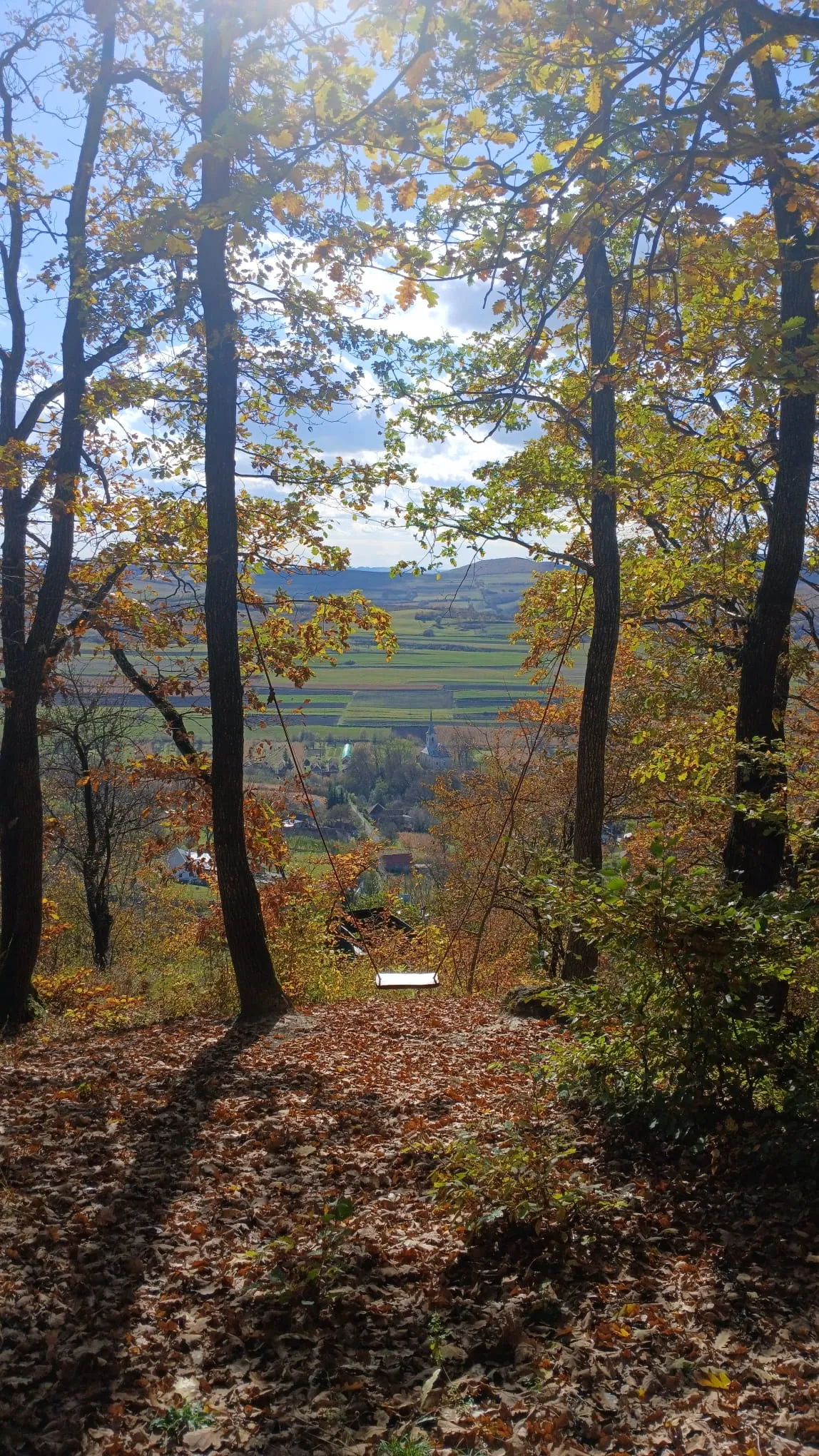 Autumn forest trail