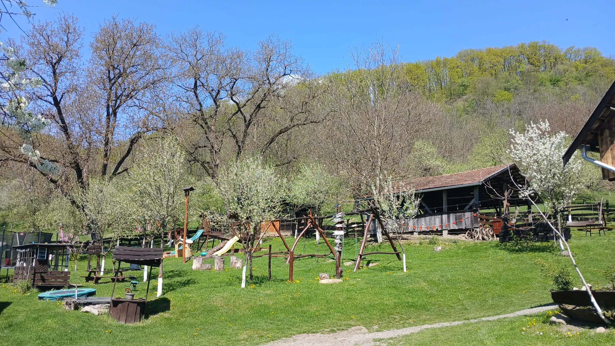 Spring garden with a playground and blossoming trees